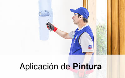 Guias