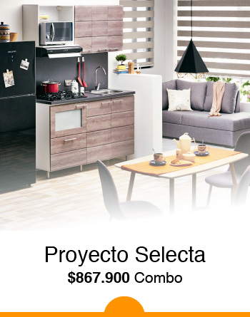 Proyecto Selecta
