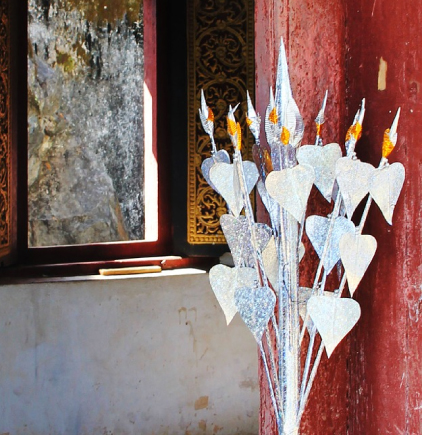 consejos del feng shui para armonizar la casa - flores hermosas