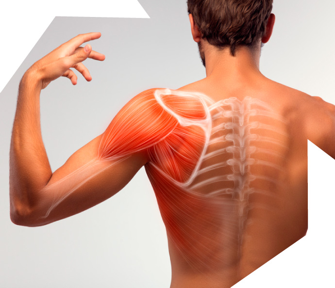 porque tener una ducha de hidromasaje - musculos