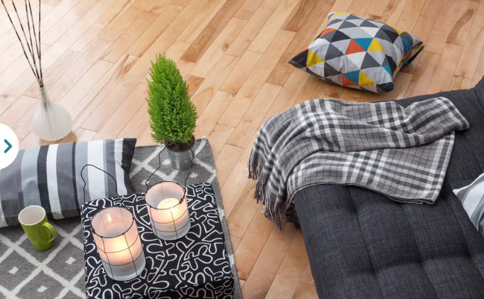 tener plantas en casa - sof� y plantas