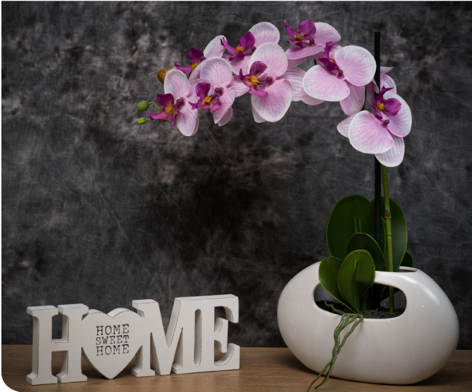 tener plantas en casa - jazm�n