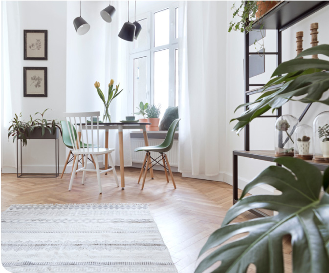 tener plantas en casa - sala amplia con plantas
