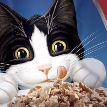 Alimento para gatos