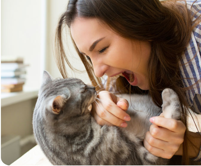 C�mo criar un gato, c�mo criar un gato para que no muerda