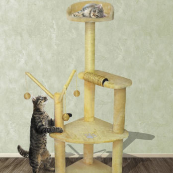 Rascadores y gimnasio para gatos