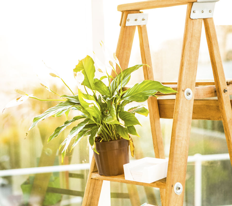 C�mo decorar mi casa sin gastar con plantas y escaleras