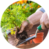 5 claves acerca de cómo arreglar un jardín