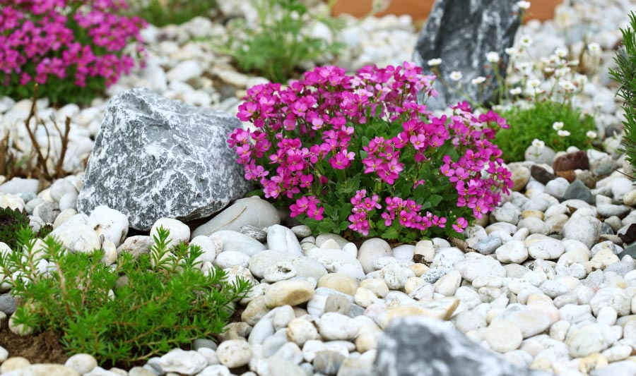 Cómo decorar tu jardín con piedras en invierno