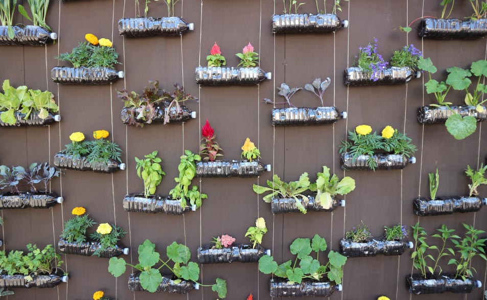 Cómo hacer un jardín pequeño reciclando