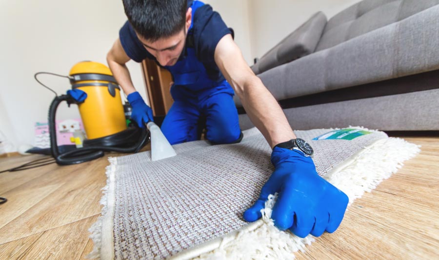 Como lavar una alfombra - donde lavar una alfombra, lugares para lavar alfombras, como lavar un tapete