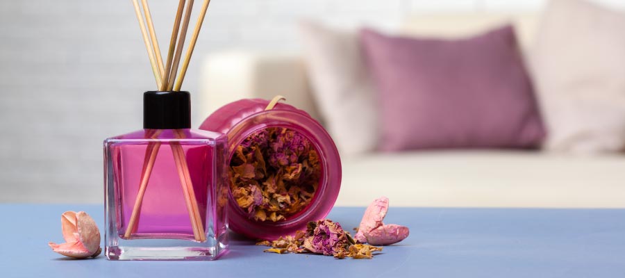 C�mo quitar el mal olor de la casa  - Accesorios aromatizantes