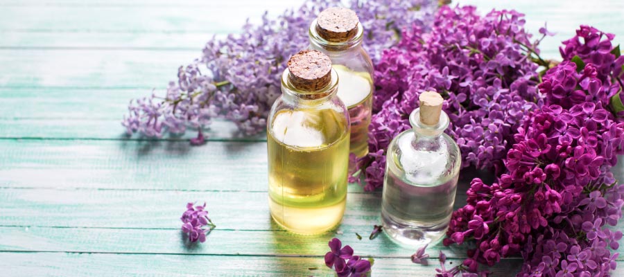 C�mo quitar el mal olor de la casa  - Plantas decorativas y vegetaci�n