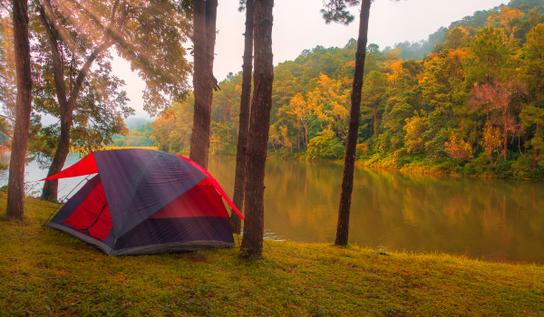 tips para acampar - habitacion