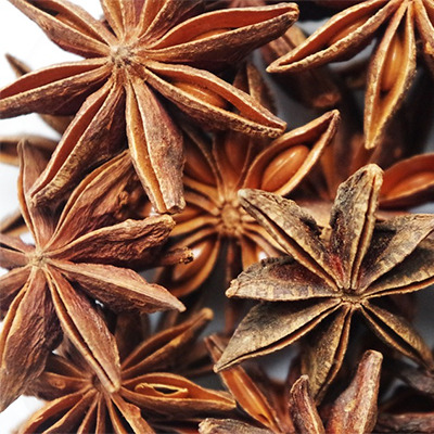 plantas aromaticas y medicinales - anis estrella