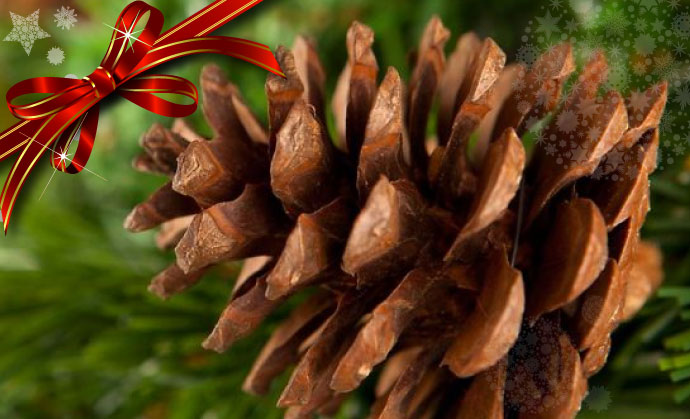 como decorar un arbol segun mi personalidad - pinos secos