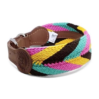 Collares y traillas para perros