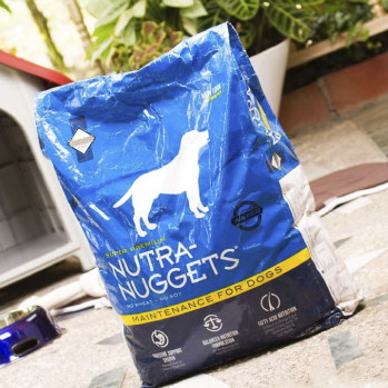 Snacks para perros