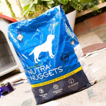 Alimentos y snacks para perros
