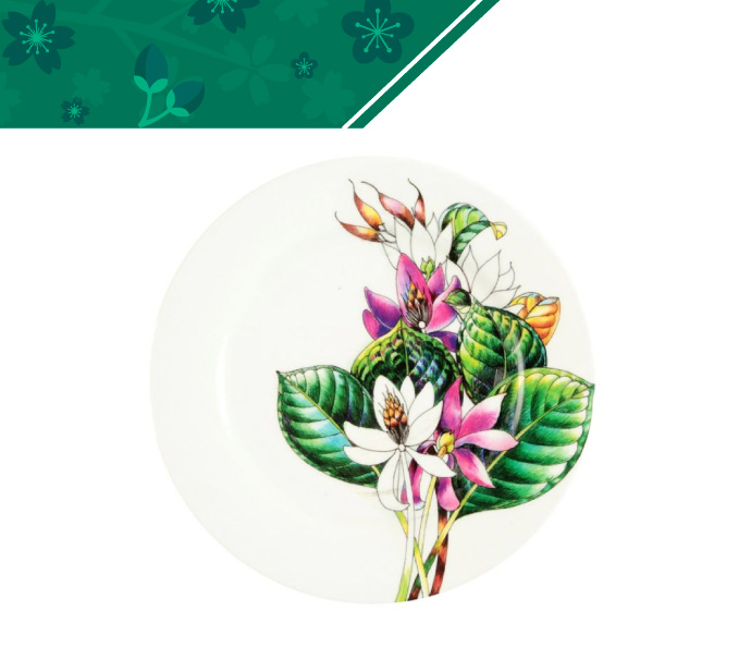 Vajillas con dise�o ecol�gico plato grande