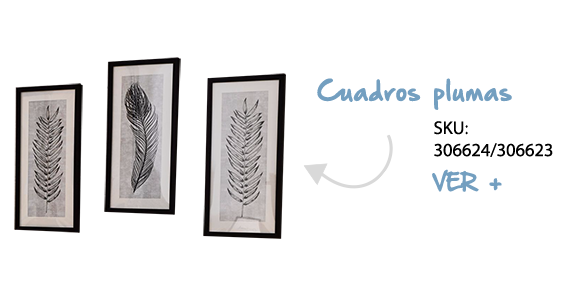 Cuadros Plumas